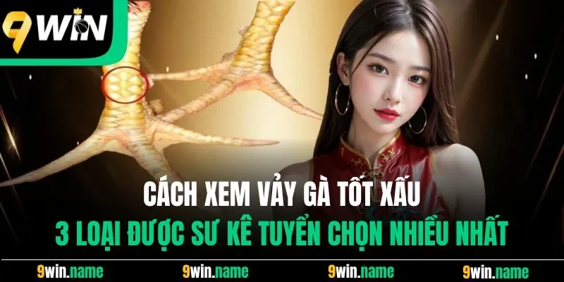 Cách Xem Vảy Gà Tốt Xấu - 3 Loại Phổ Biến Trên Thị Trường