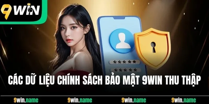Các dữ liệu chính sách bảo mật 9Win thu thập