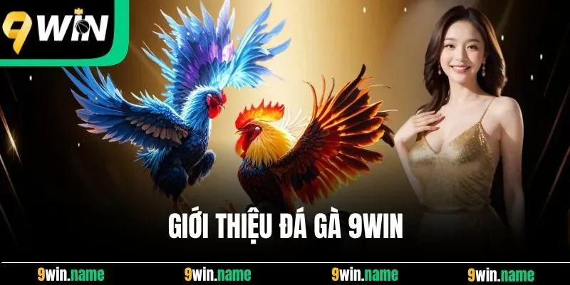 Giới thiệu đá gà 9win