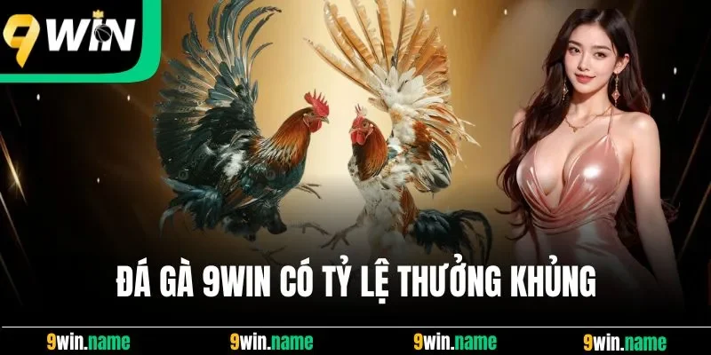 Đá gà 9win có tỷ lệ thưởng khủng