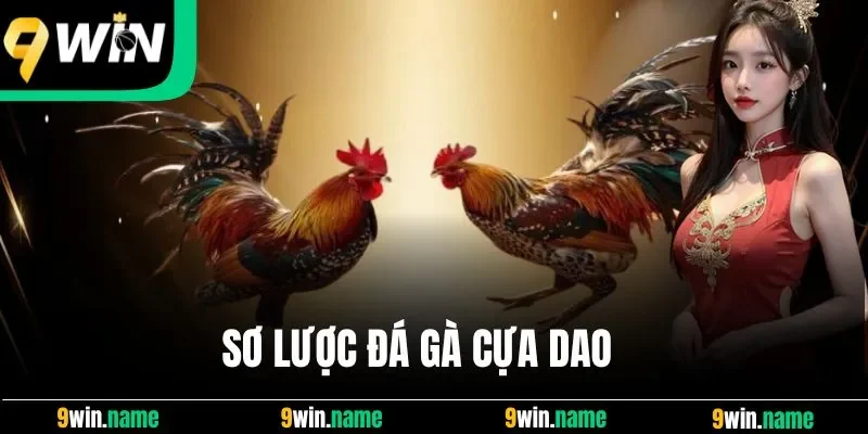 Sơ lược đá gà cựa dao