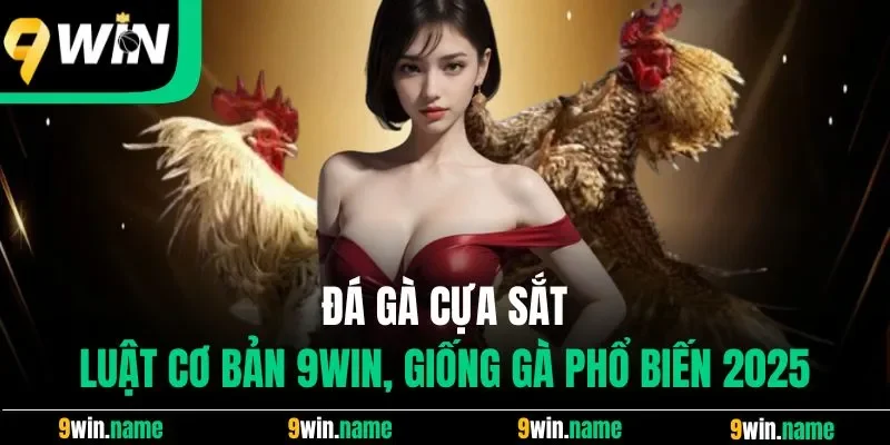 Đá Gà Cựa Sắt - Luật Cơ Bản Và Giống Gà Phổ Biến 2025